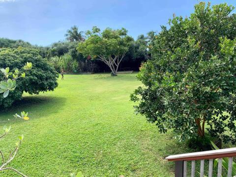 North Shore Garden Suite Haleiwa Exterior photo